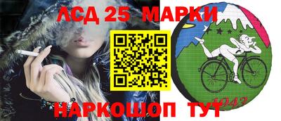 кокс Ставрополь