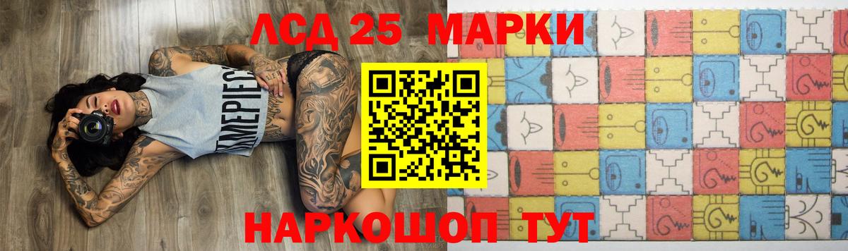 Курчалой  Лсд 25 экстази кислота  ЛСД экстази кислота  Вход с VPN 
