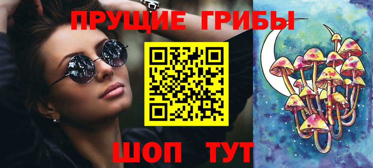 Курчалой  Псилоцибиновые грибы Psilocybe  Вход с VPN 